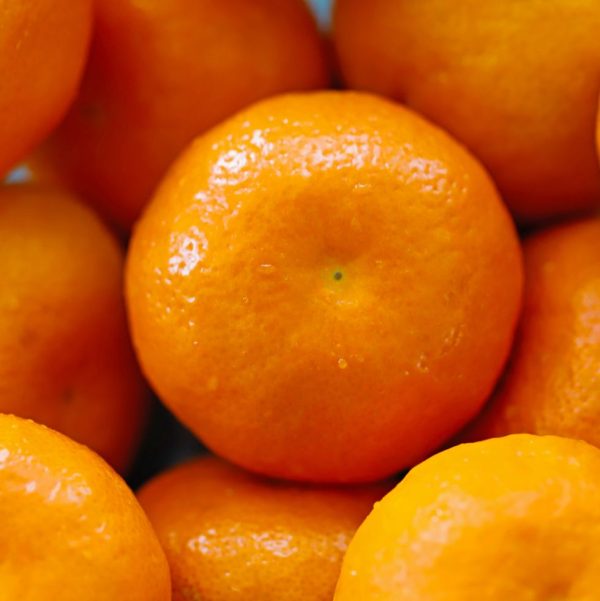Tangerine Clementine