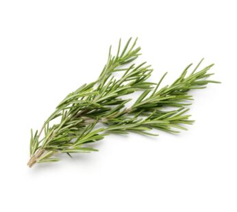 Herbs Rosemary /each