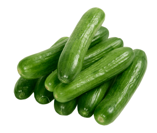 CUCuMBER, lb