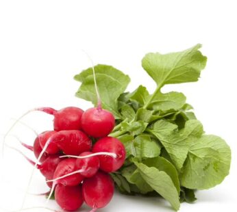 Radish, Each