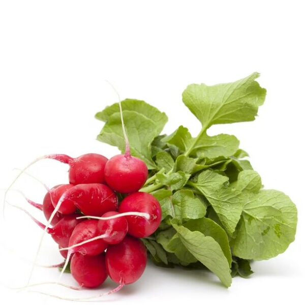 Radish, Each