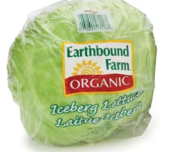 lettuce ICEBERG EACH