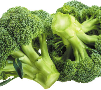 BROCCOLI, each