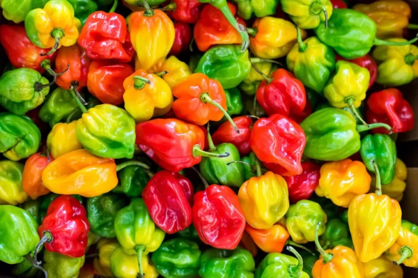 Pepper Habanero ,Mix ,lb